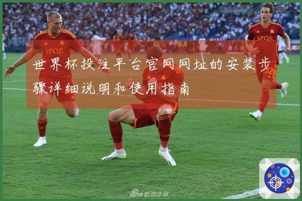 世界杯投注平台官网网址的安装步骤详细说明和使用指南