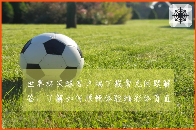 世界杯买球客户端下载常见问题解答，了解如何顺畅体验精彩体育直播