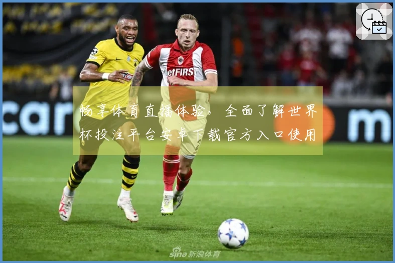 畅享体育直播体验,全面了解世界杯投注平台安卓下载官方入口使用指南