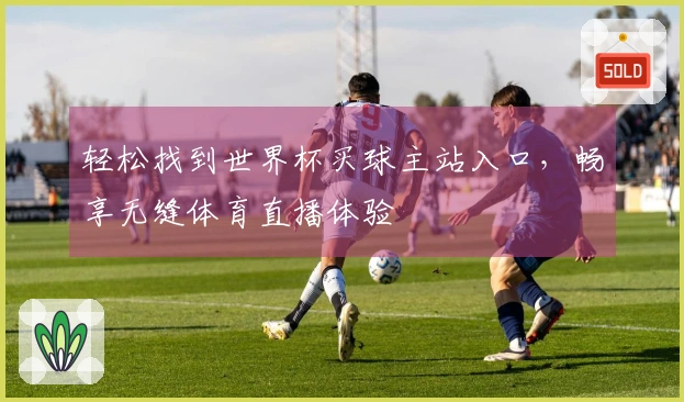 轻松找到世界杯买球主站入口,畅享无缝体育直播体验
