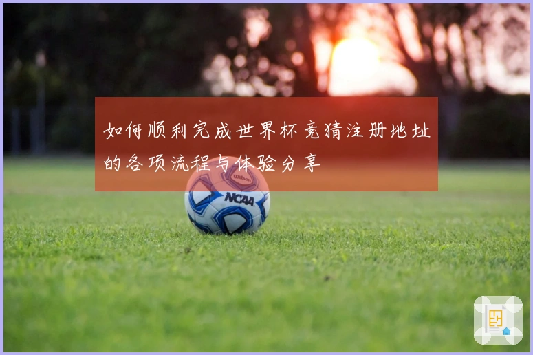如何顺利完成世界杯竞猜注册地址的各项流程与体验分享