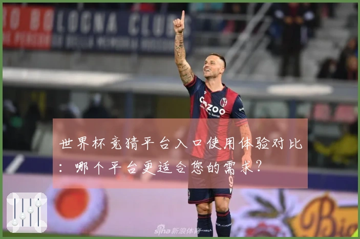 世界杯竞猜平台入口使用体验对比：哪个平台更适合您的需求？