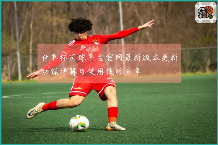 世界杯买球平台官网最新版本更新功能详解与使用技巧分享