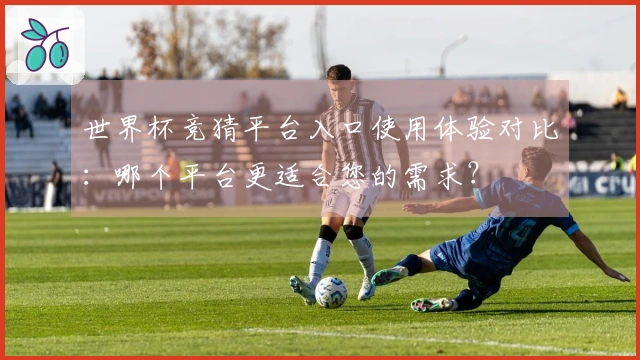 世界杯竞猜平台入口使用体验对比：哪个平台更适合您的需求？